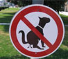 Dog Poop Removal